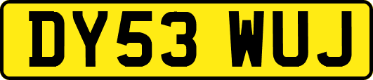 DY53WUJ