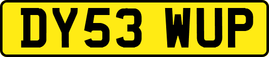 DY53WUP