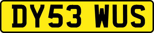 DY53WUS