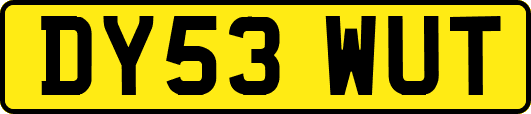 DY53WUT