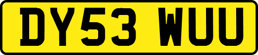 DY53WUU