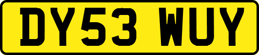 DY53WUY