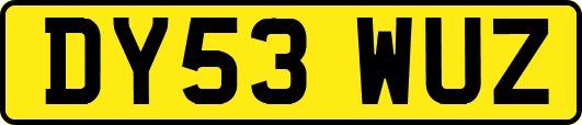 DY53WUZ