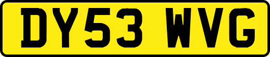 DY53WVG