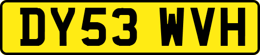 DY53WVH