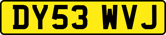DY53WVJ