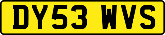 DY53WVS