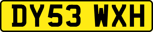 DY53WXH