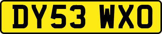 DY53WXO