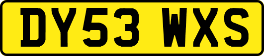 DY53WXS