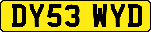 DY53WYD
