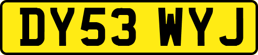 DY53WYJ