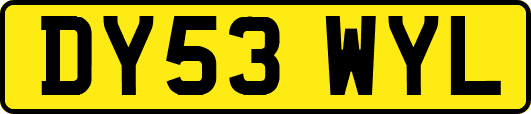 DY53WYL