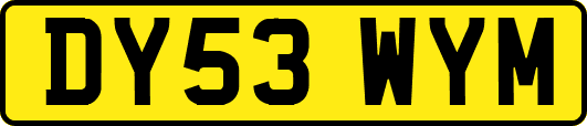 DY53WYM