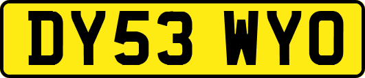 DY53WYO