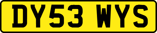 DY53WYS