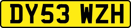 DY53WZH