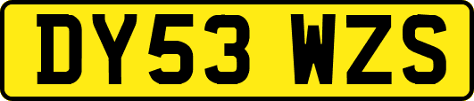 DY53WZS
