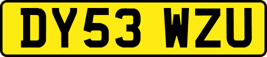DY53WZU