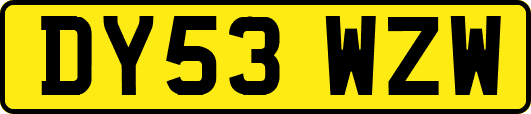 DY53WZW
