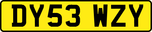 DY53WZY