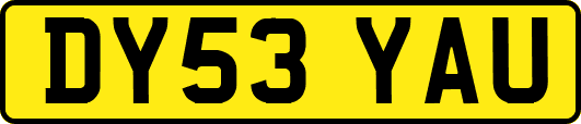 DY53YAU