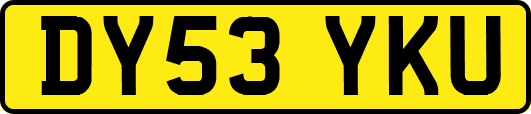 DY53YKU