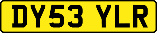DY53YLR