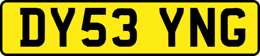 DY53YNG
