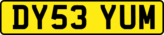 DY53YUM