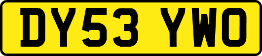 DY53YWO