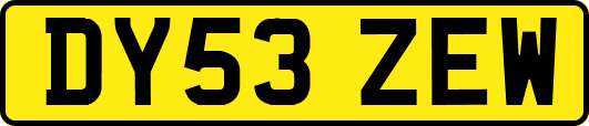 DY53ZEW