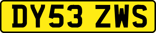 DY53ZWS