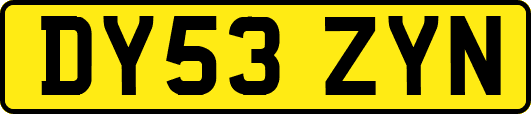 DY53ZYN