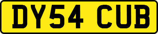 DY54CUB