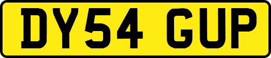 DY54GUP