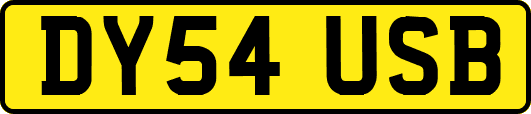 DY54USB
