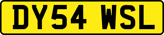 DY54WSL