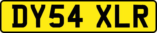 DY54XLR