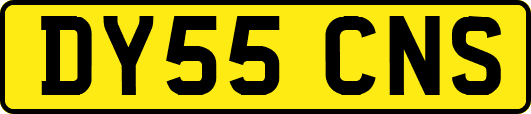 DY55CNS