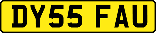 DY55FAU