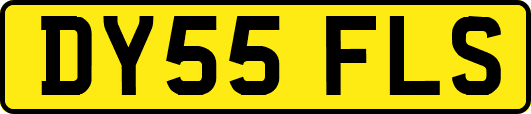 DY55FLS