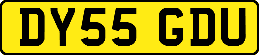 DY55GDU