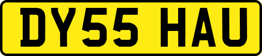 DY55HAU