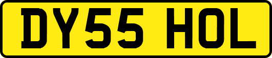 DY55HOL