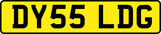 DY55LDG