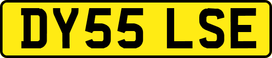 DY55LSE