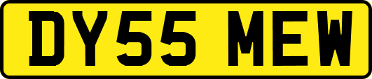 DY55MEW