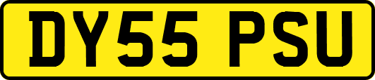 DY55PSU