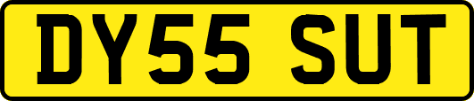 DY55SUT